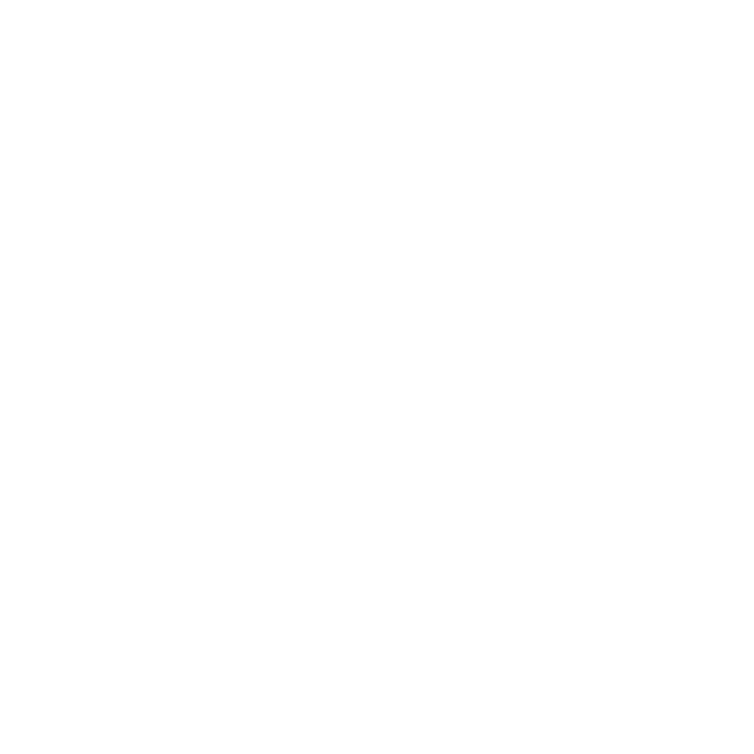 Cricket Pitch